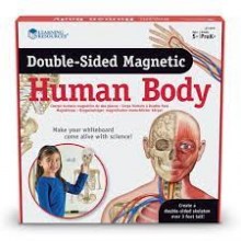 cuerpo humano magnetico doble cara 1